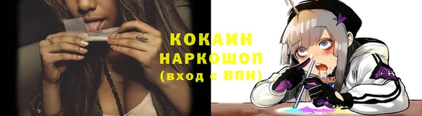 apvp Алзамай